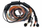 Haltech NEXUS R3 Universal Wire-In Harness - 2.5M (8ft) Fashion