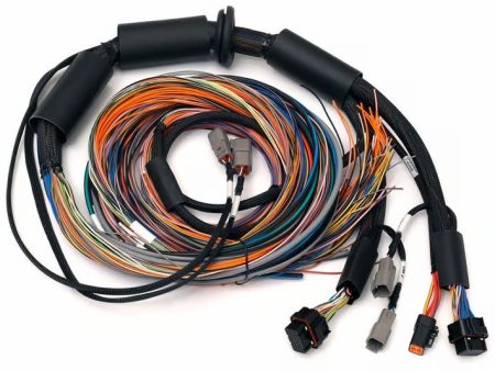 Haltech NEXUS R3 Universal Wire-In Harness - 2.5M (8ft) Fashion